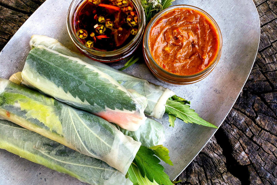 Vietnamese Fresh Rolls with Spicy Tang Sauce