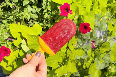 Blueberry Lemonade Popsicles