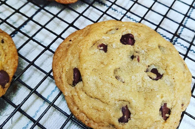 Comfy Chocolate Chip Cookie