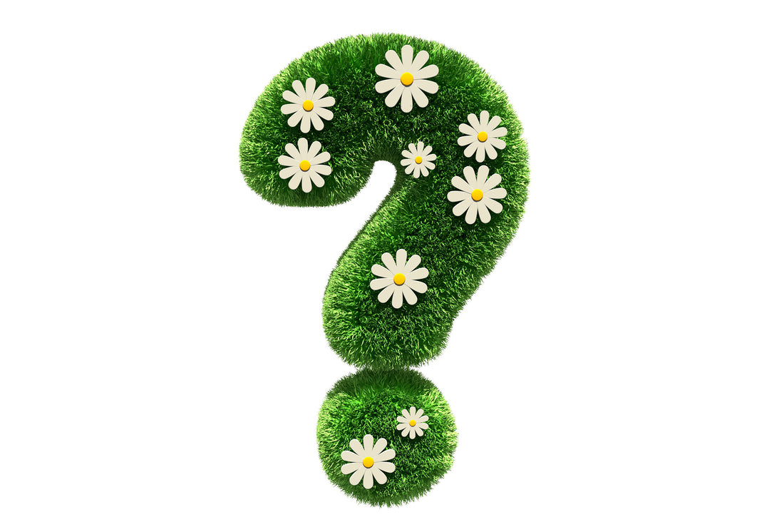 What is the purpose of lecithin?