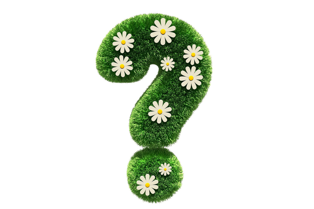 What’s the difference in the numbers with the Purify Filters? - Magical Brands