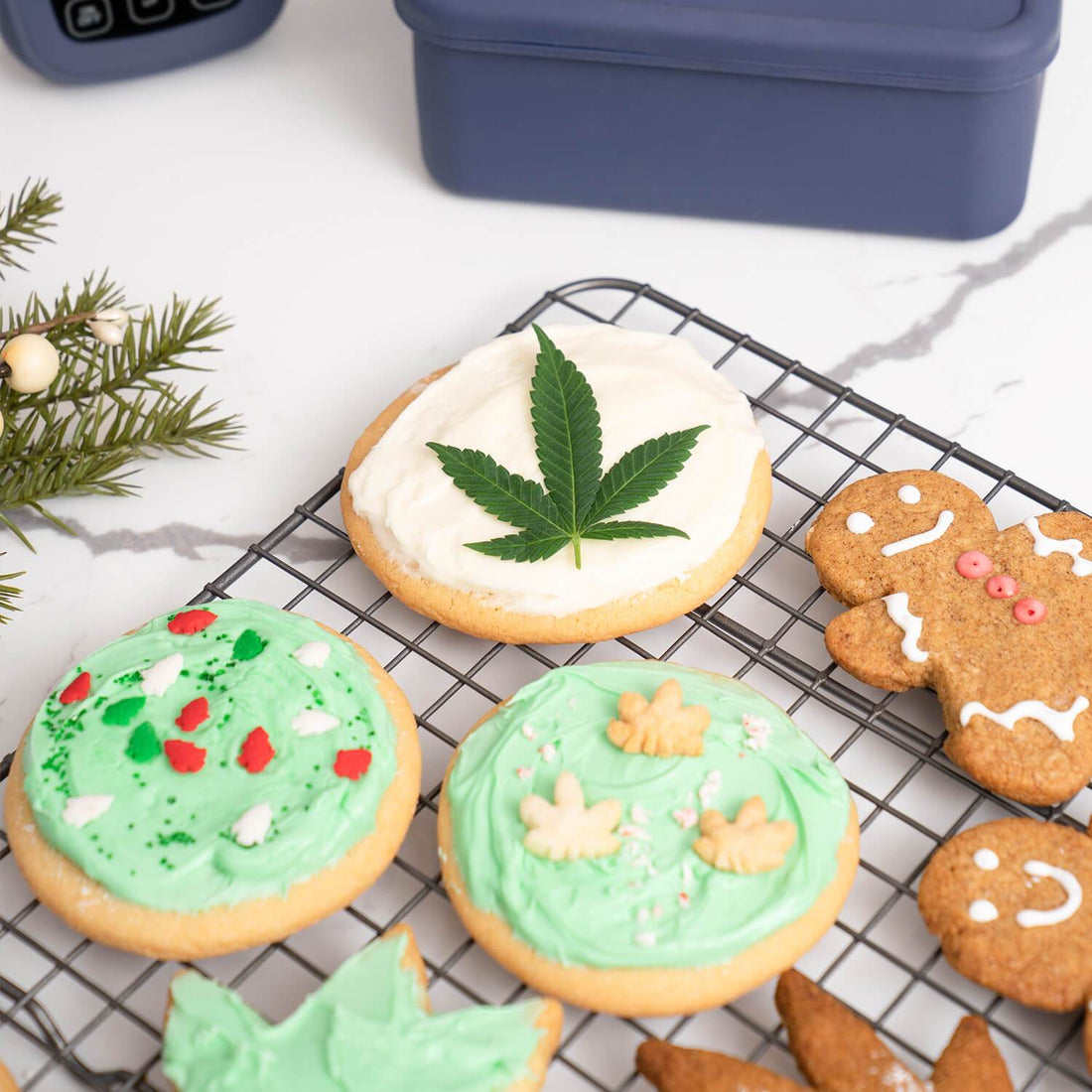 Frosted Sugar Cookies