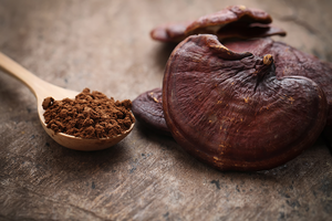 What’s a Reishi Mushroom, and Why is it So Good for My Immune System?