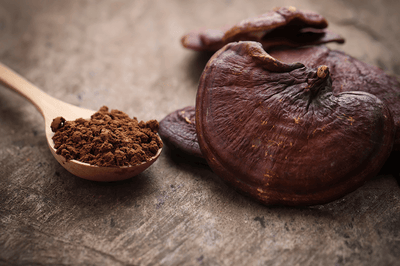 What’s a Reishi Mushroom, and Why is it So Good for My Immune System?