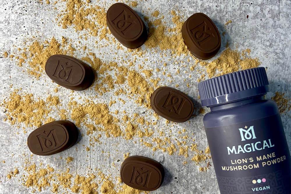 Lion's Mane Chocolates