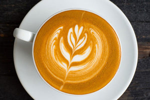 Terrific Turkey Tail Latte - Magical Brands