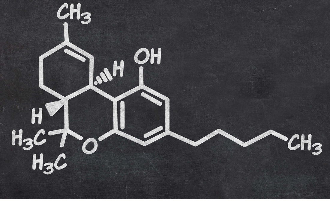 Chemistry of Decarboxylation