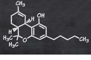 Chemistry of Decarboxylation
