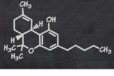 Chimie de la décarboxylation