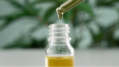 The Wonders of MCT Oil: Why You Should Add it to Your Diet