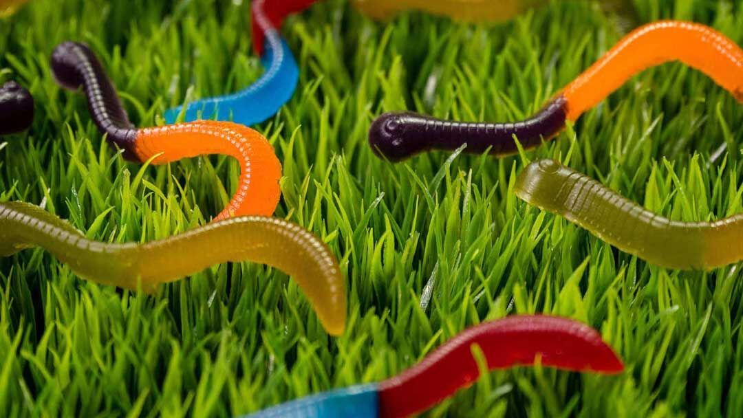 Gummy Worms